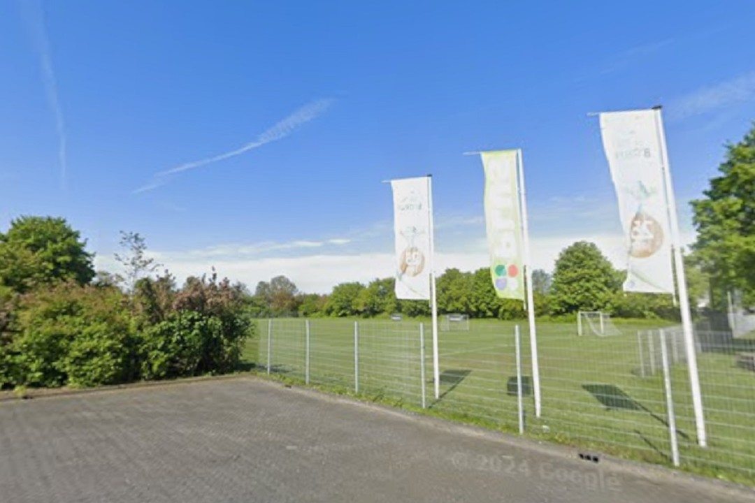 Rottende stammen van drie bomen noodzaakten tot snelle kap bij Unicum