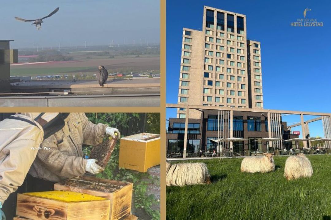 Gemeente moet opkomen voor schapen bij Van der Valk Hotel, vindt de gemeenteraad