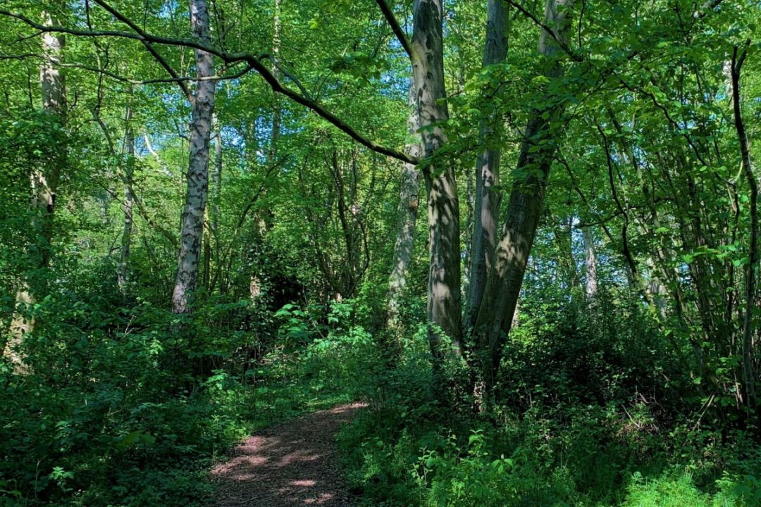 Het Bultpark