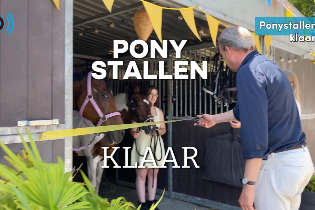 De paarden van de ponyclub hebben nu een fatsoenlijke stal (video)