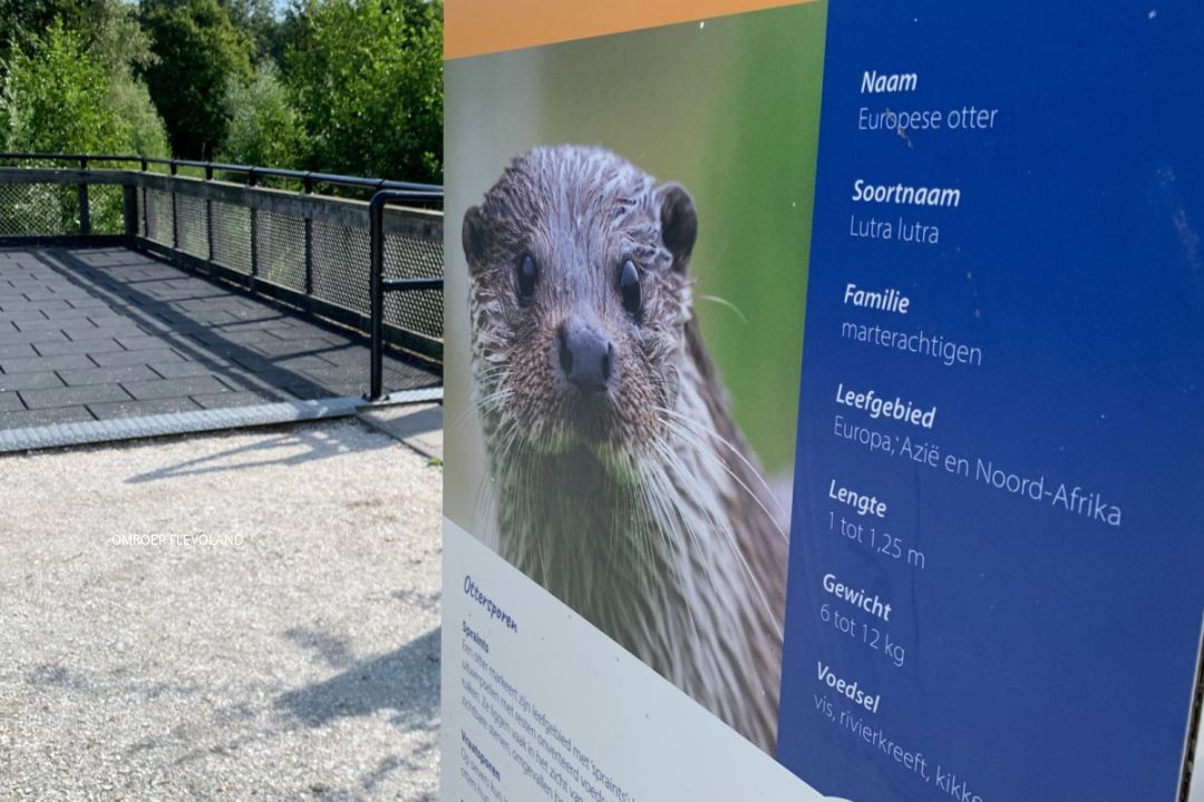 Onder andere het otterverblijf zou een probleem vormen. FOTO OMROEP FLEVOLAND