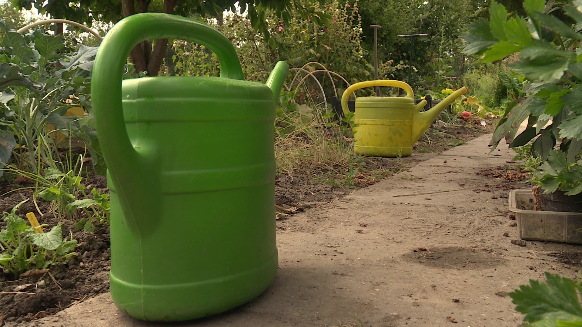 Volkstuinders aan de Bosweg radeloos over reeks vernielingen