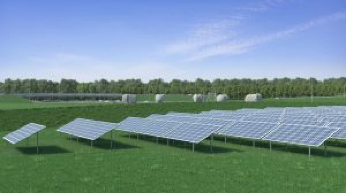 Commissie mer: 'Zonnepanelen langs A6 kunnen natuur en landschap aantasten'