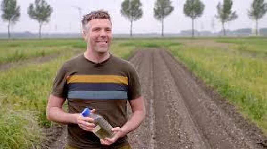 Proef in Lelystad: duurzame teelt aardappels met menselijke urine 
