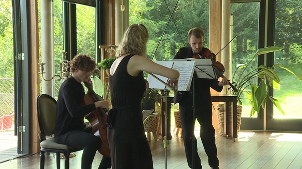 'Apart cultuurfonds heeft voor Lelystad te weinig toegevoegde waarde'