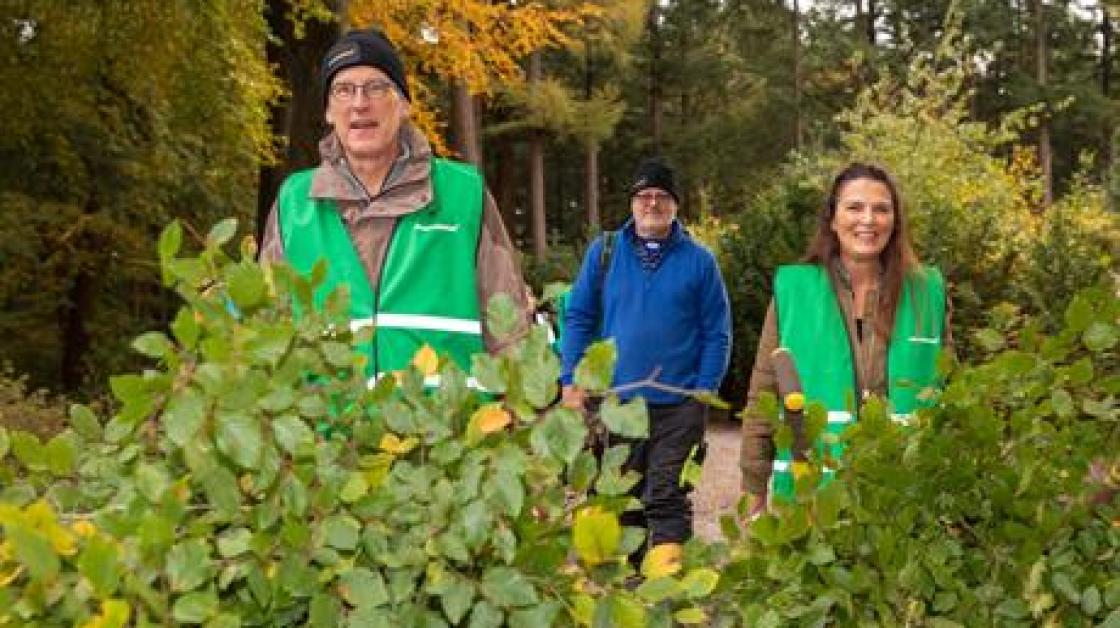Wethouder Sjaak Kruis geeft zaterdag een boompje weg, en daarna volgen er meer