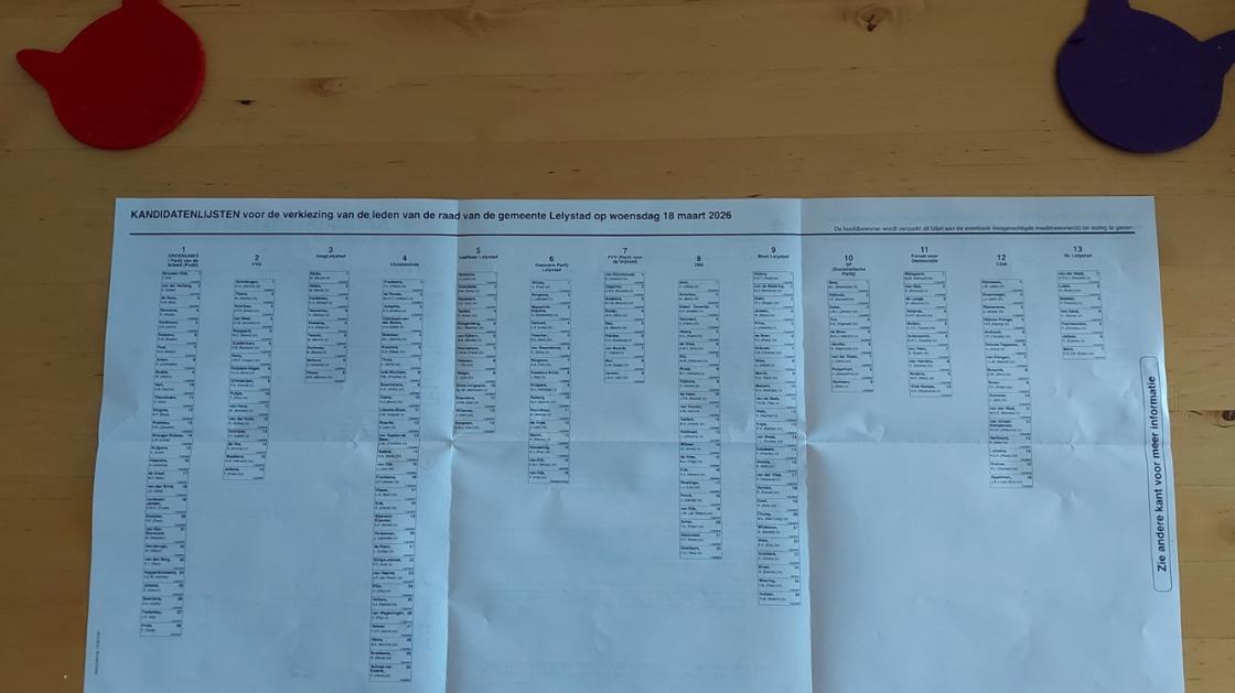 Vijftien partijen doen mee, en dat past niet allemaal op één zijde...