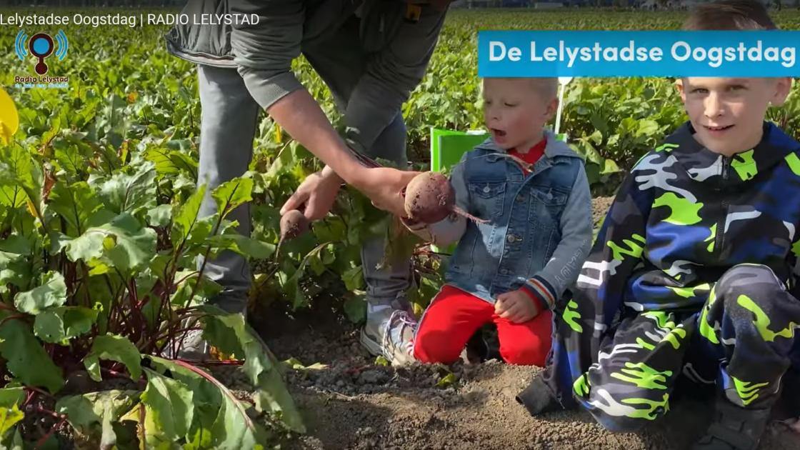 Lelystadse Oogstdag viert dit jaar dan toch haar lustrum