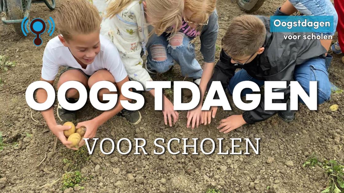 Verslaggever Matthijs ziet samen met leerlingen dat groente niet in de winkel groeit