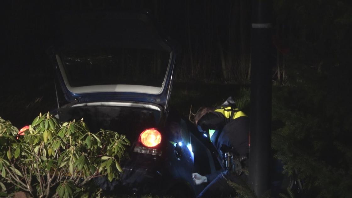 Drankrijder op de vlucht (140 km/u door de stad) crasht in greppel Albatroslaan