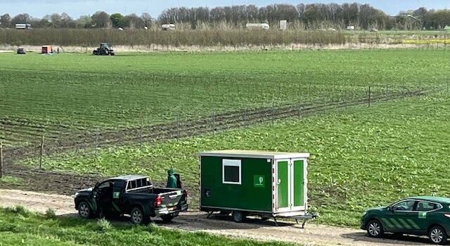 Dertigduizend bomen in paar dagen, op de maat van de muziek