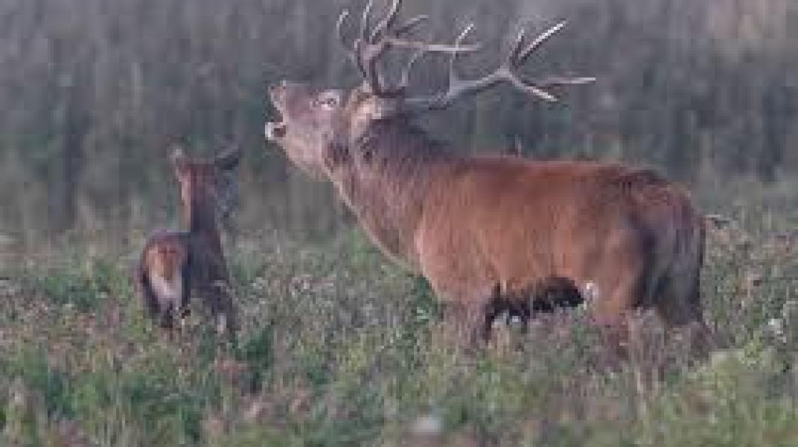 Publiek Natuurpark wil meer doen en meer voorzieningen