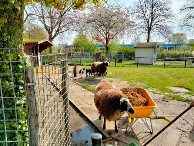 Bultpark, 'mooiste park van de stad', geeft weer een feest