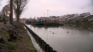 Weer dode dieren in Gelderse Diep, deze keer ook een hond