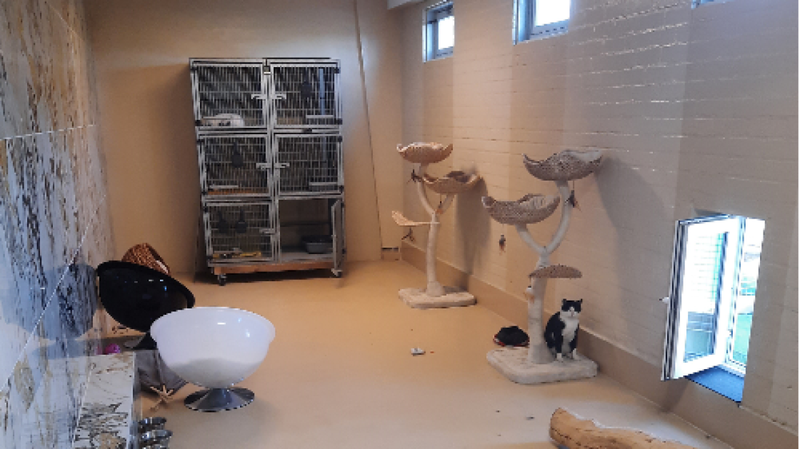 Dierennoodhulp doet alles, van een gewond vogeltje tot een kat in een stroomkast