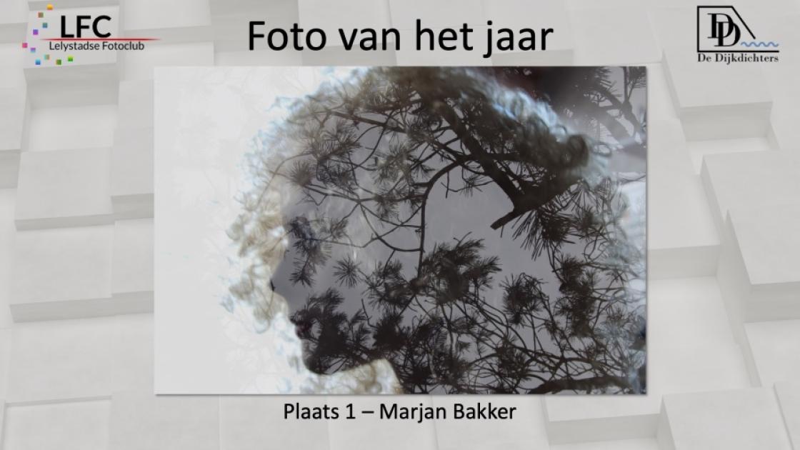 Dit is de mooiste foto van Lelystad, althans door de ogen van dichters