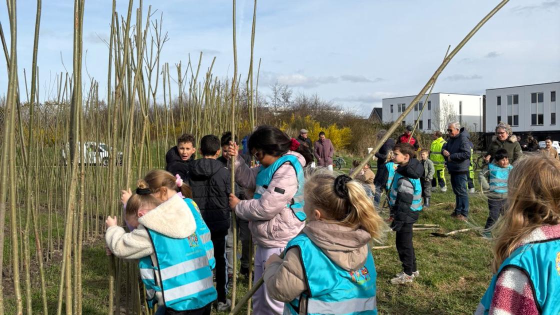 Kinderen Warande helpen bij het maken van hun nieuwe speelplek: een doolhof