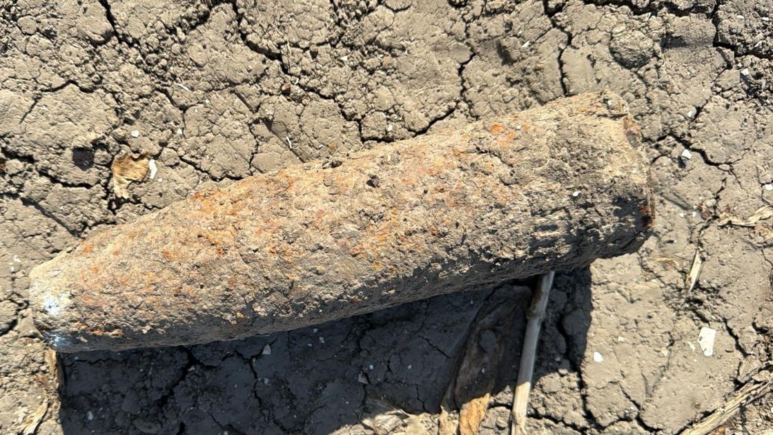Toen de rooimachine klaar was, lag er een bom uit WO II in het lege tulpenveld