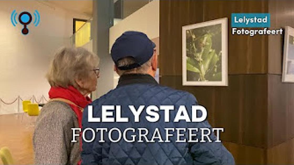 Fotograferen is soms ook gewoon heel lang wachten op een kikker die niet wil stilzitten