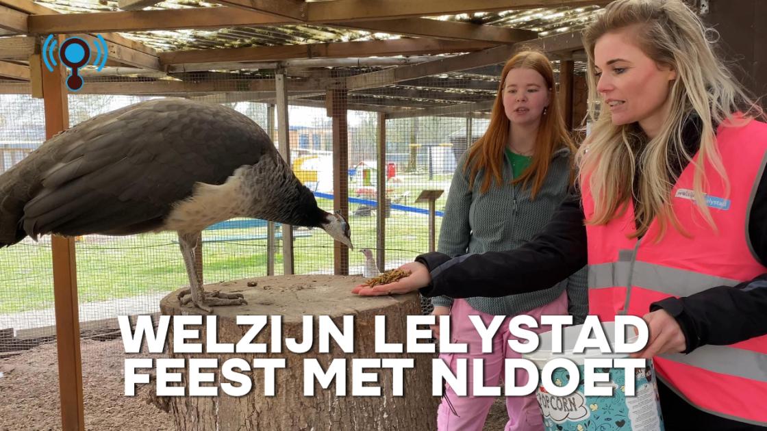 Verjaardagsfeestje voor Welzijn Lelystad, van mantelzorg tot kinderboerderij