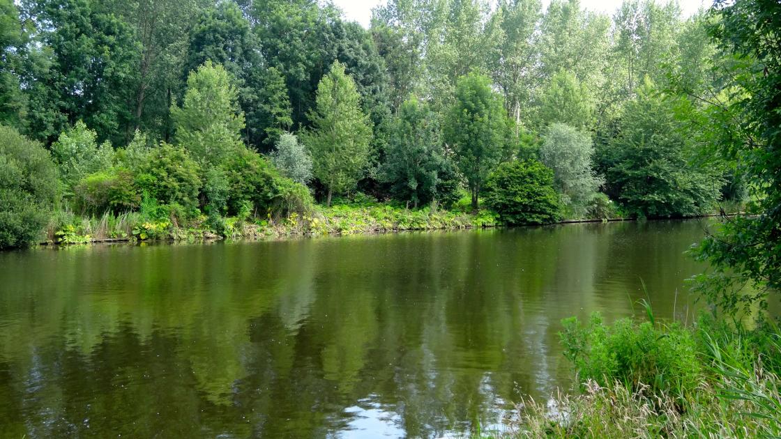 Weer dode kat in Gelders Diep, tot nu toe geen aanwijzingen voor misdrijf