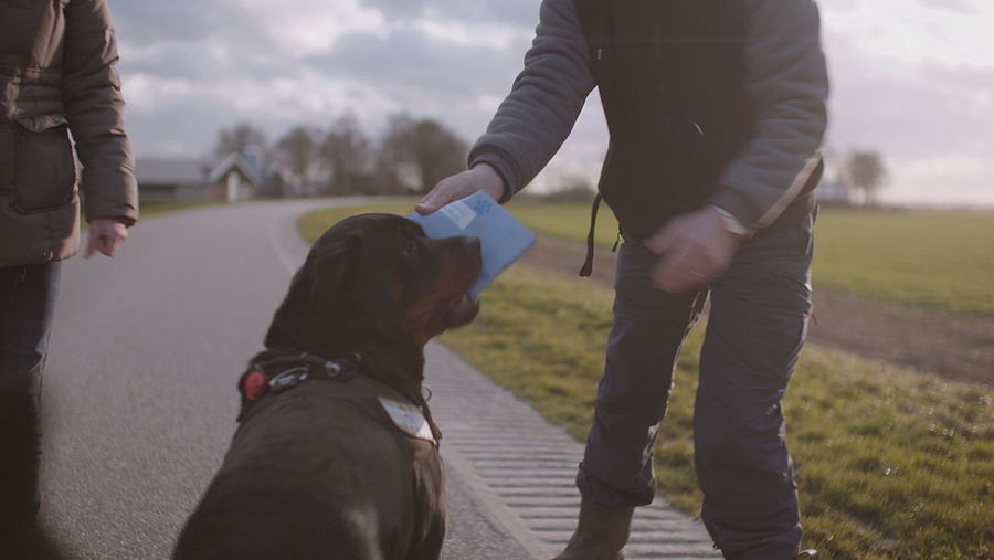 De Ombuigingen, deel 15: hondenbelasting terug op het oude niveau