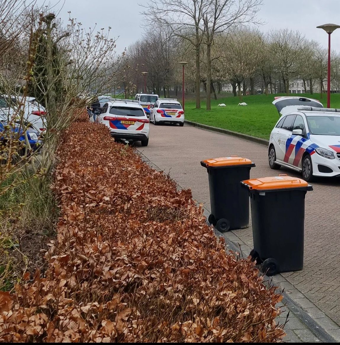 Politie scoort: drie inbrekers gepakt in Vijfherenlanden