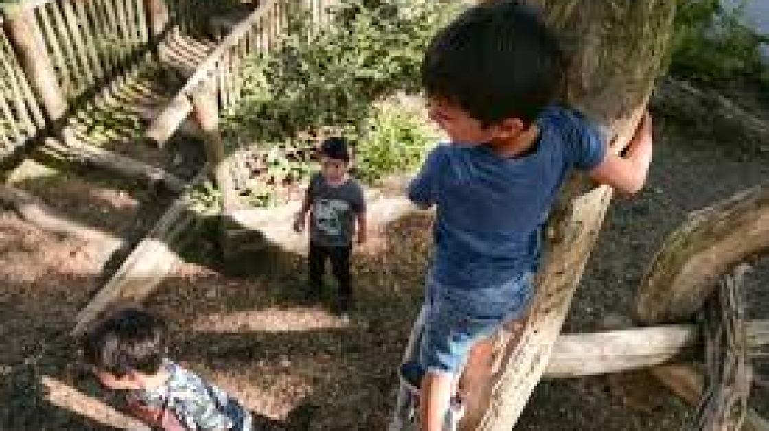 Drie schoolpleinen krijgen groene aankleding waar je ook in kunt spelen