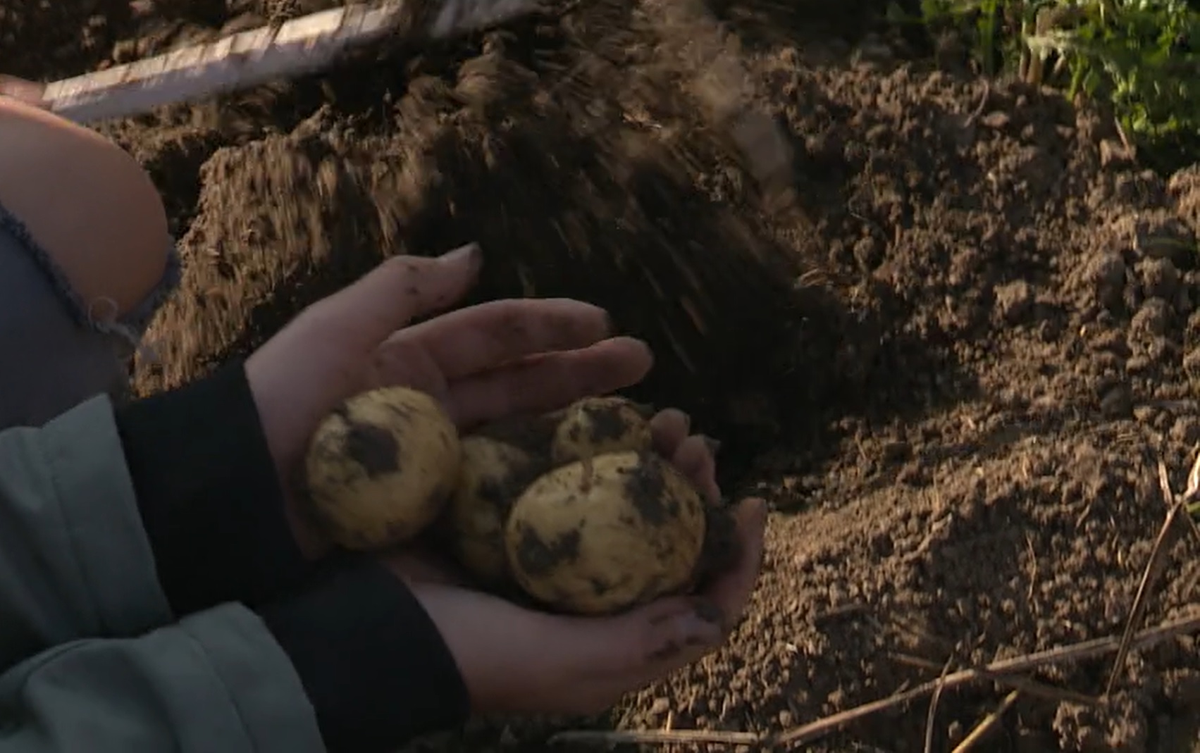 Schoolbezoeken aan Lelystadse Boer voor de komende vier jaar veiliggesteld