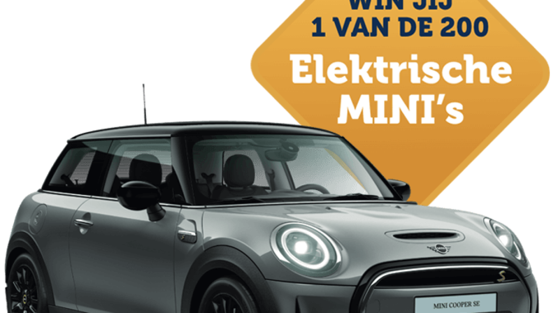 Bij wie in Lelystad hangt dat vergeten lot waarop een Mini is gevallen?