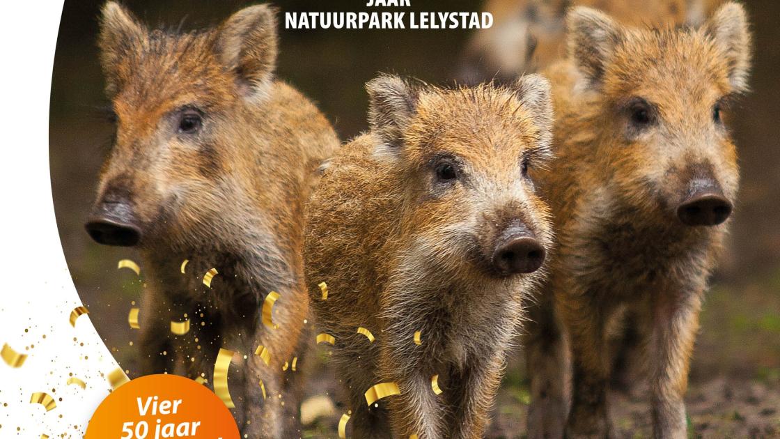 Vroege Vogels zendt zondagmorgen uit vanuit jubilerend Natuurpark Lelystad