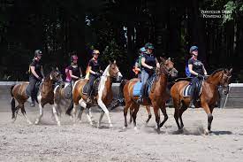 Ponyclub moet geld inzamelen om nieuwe eisen in wet