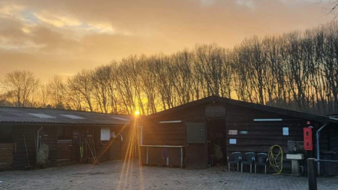 Groene Sluis doneert 10.000 euro voor noodzakelijke nieuwe stal ponyclub SKWL