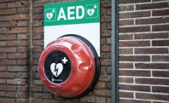 Gemeente overweegt plaatsen camera's langs Gelderse Diep