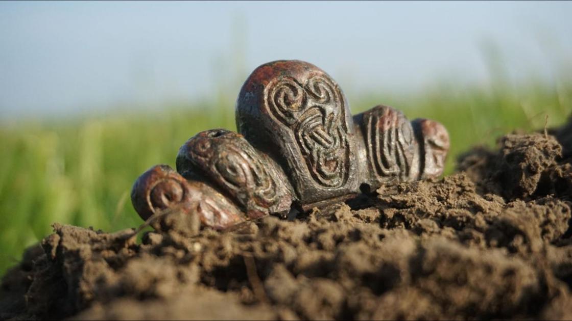 Archeologen dansen op tafel om stukje metaal van Lelystadse amateur 