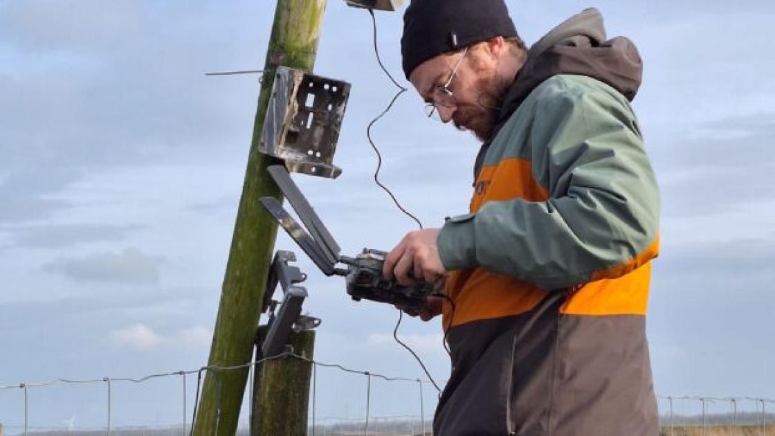 Kunstmatige intelligentie helpt de natuur te doorgronden (en zo nodig te redden)