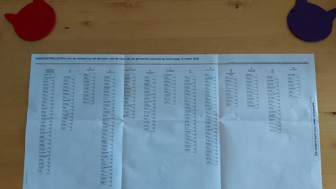 Vijftien partijen doen mee, en dat past niet allemaal op één zijde...